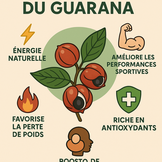 Les bienfaits du guarana : l’énergie naturelle venue d’Amazonie 🌿⚡