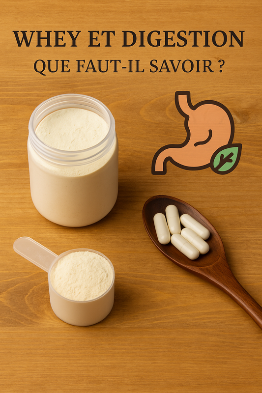 Whey et digestion : que faut-il savoir ?